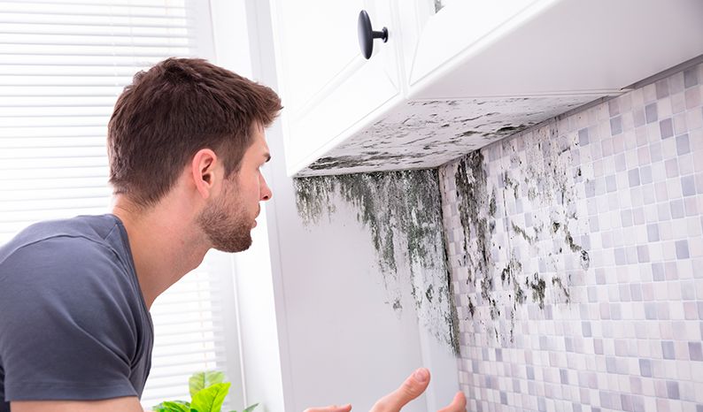 home insurance boca raton